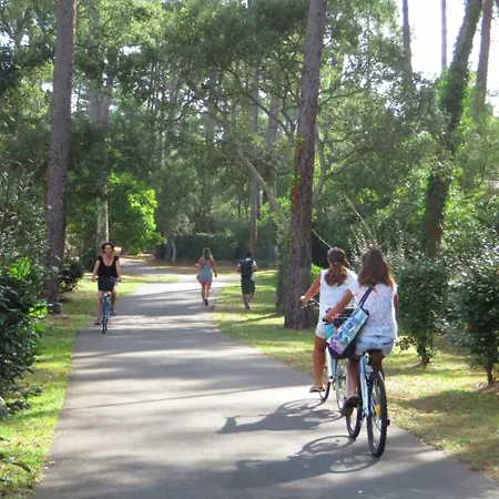 Mobil'home De Gamme Xxl Sous Les Pins ! Kemp *