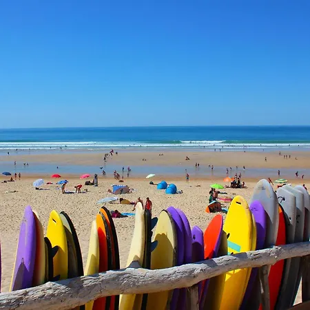 Campeggio Mobil'home De Gamme Xxl Sous Les Pins !